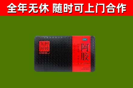 上党回收阿胶
